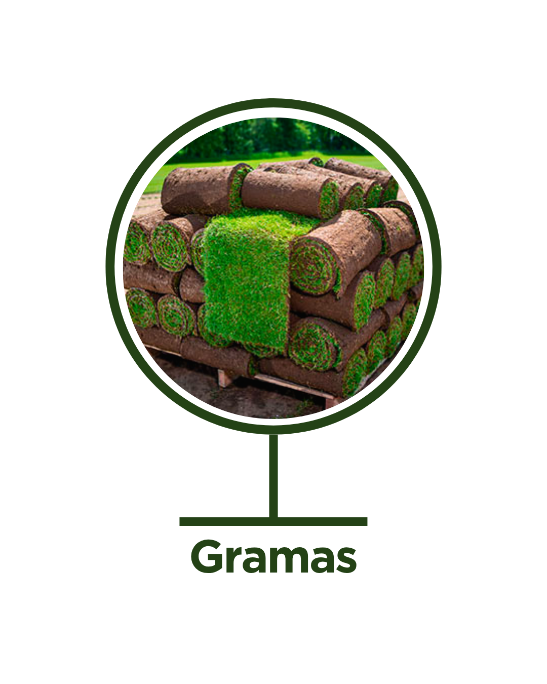 Gramas