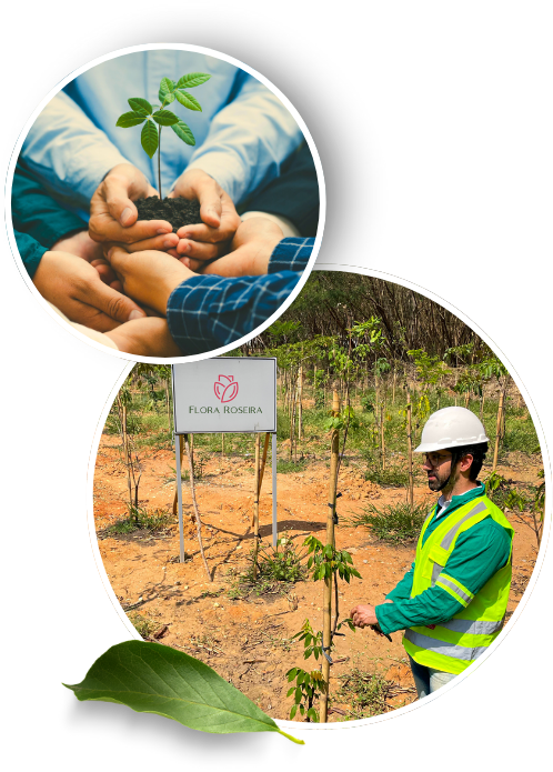 Consultoria e <span class="span-title">Gestão Ambiental</span>
